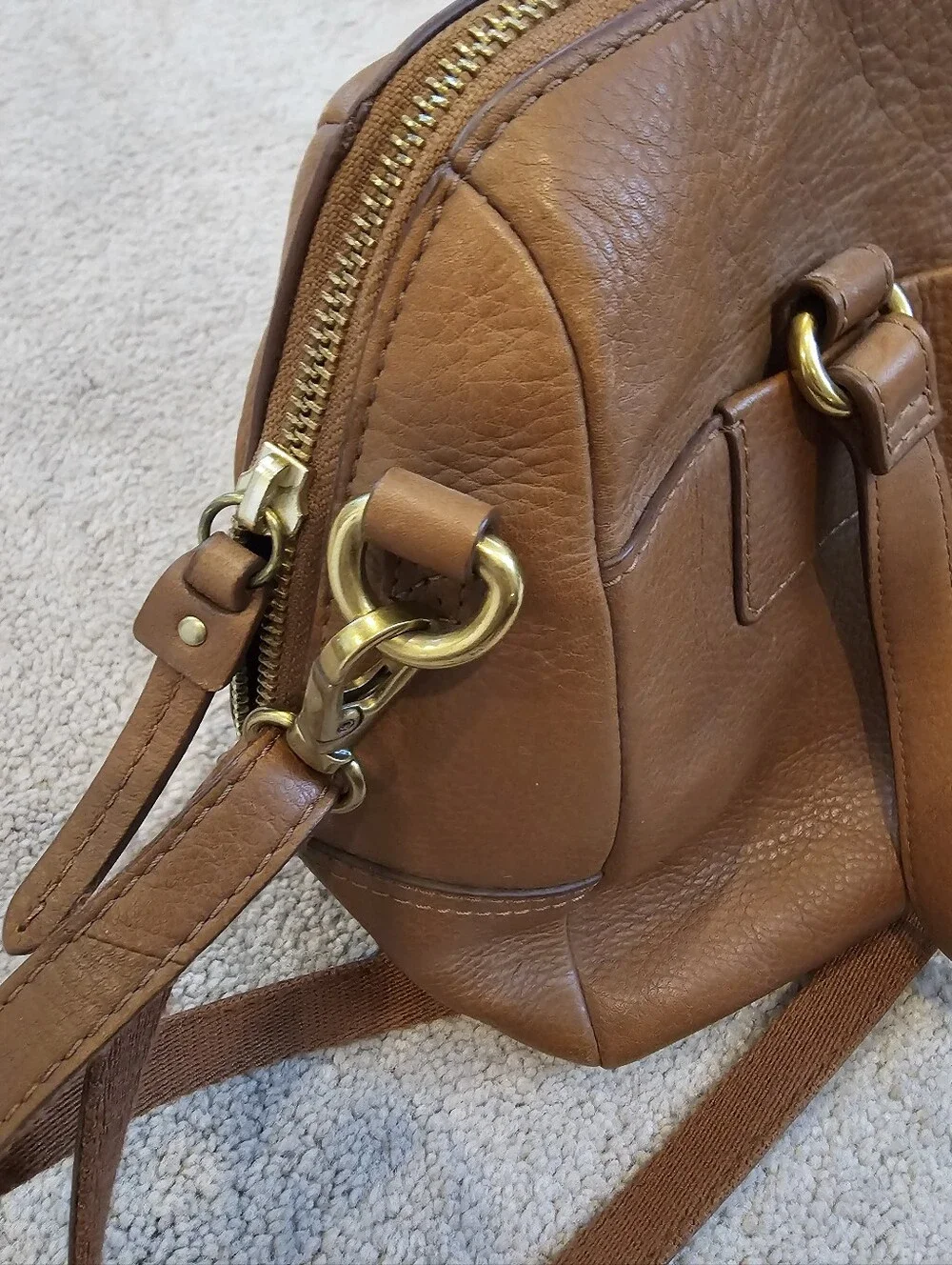 Fossil medium brown